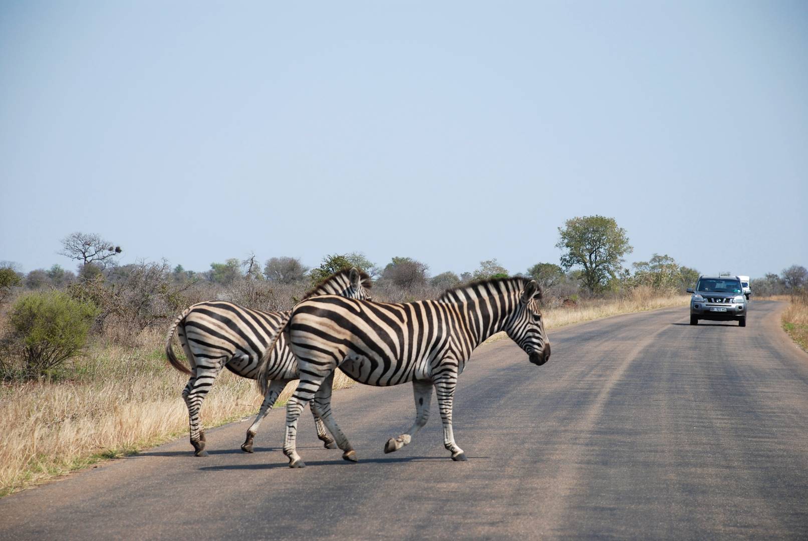 Combiné Le Cap Et Parc Kruger En Afrique Du Sud 11 Jours Et 8 Nuits 6175