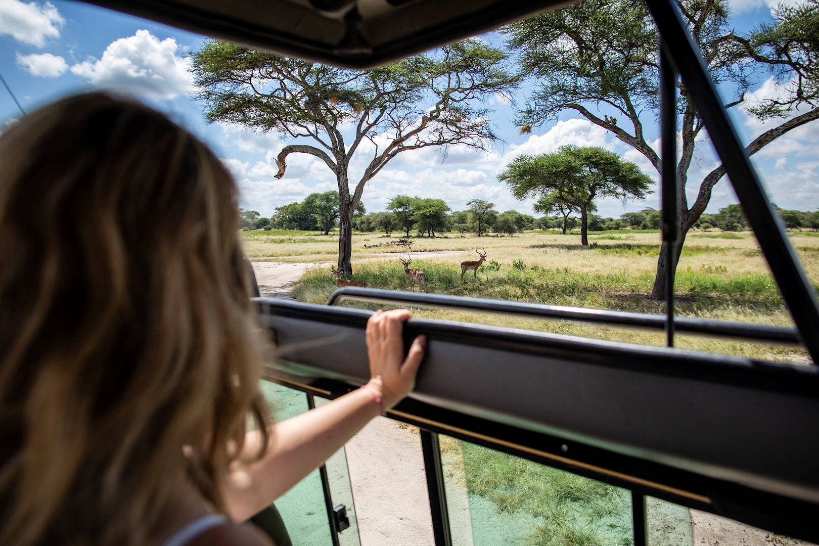 Safari en 4x4 dans le parc Kruger - Afrique du Sud