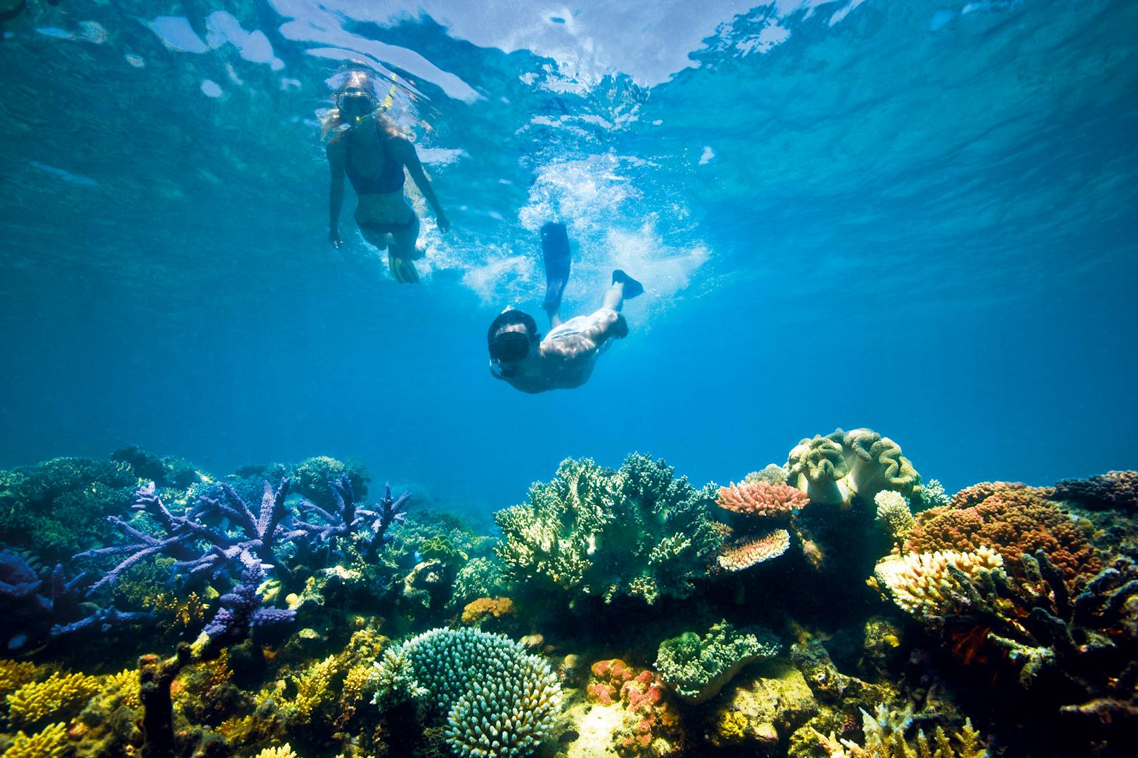 Australie