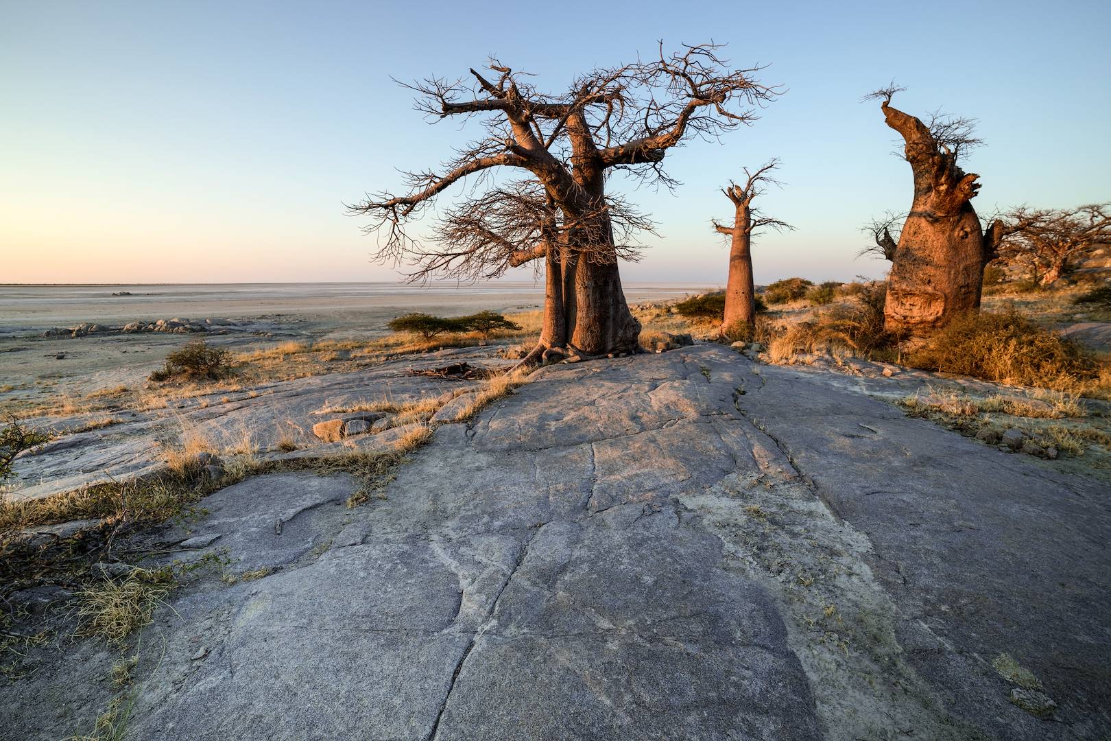 Pan de Makgadikgadi - Botswana