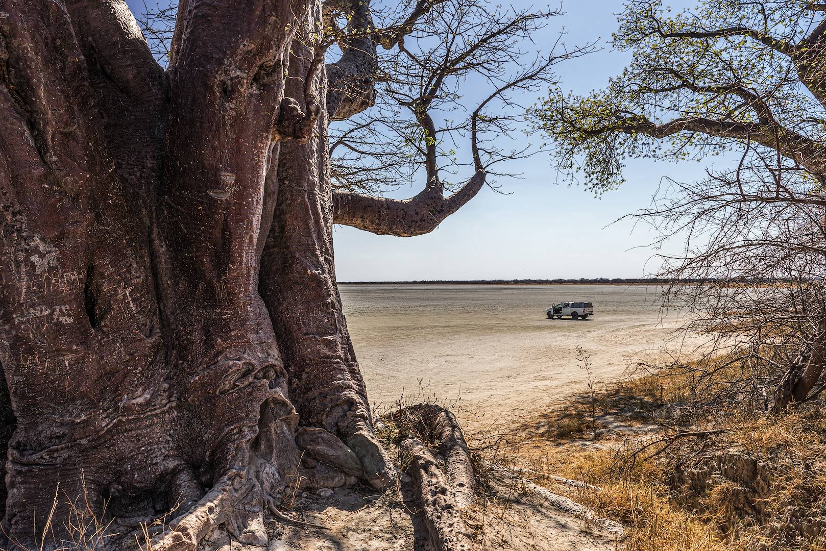 Pan de Makgadikgadi en 4x4 - Botswana