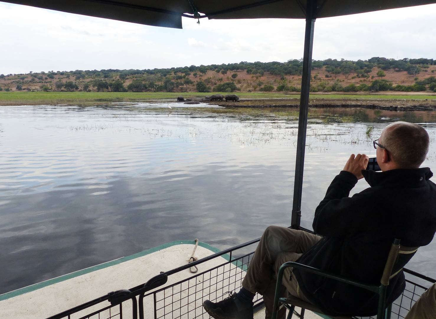 Safari en bateau sur le fleuve Chobe - Botswana