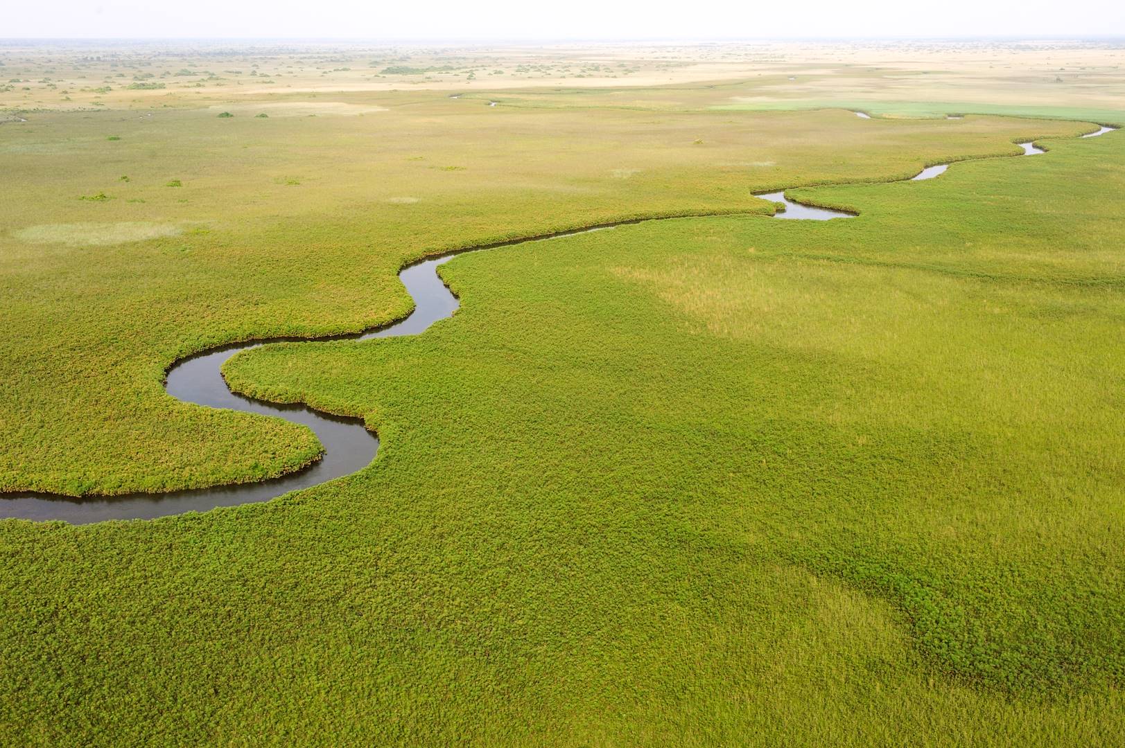 Delta de l'Okavango - Botswana