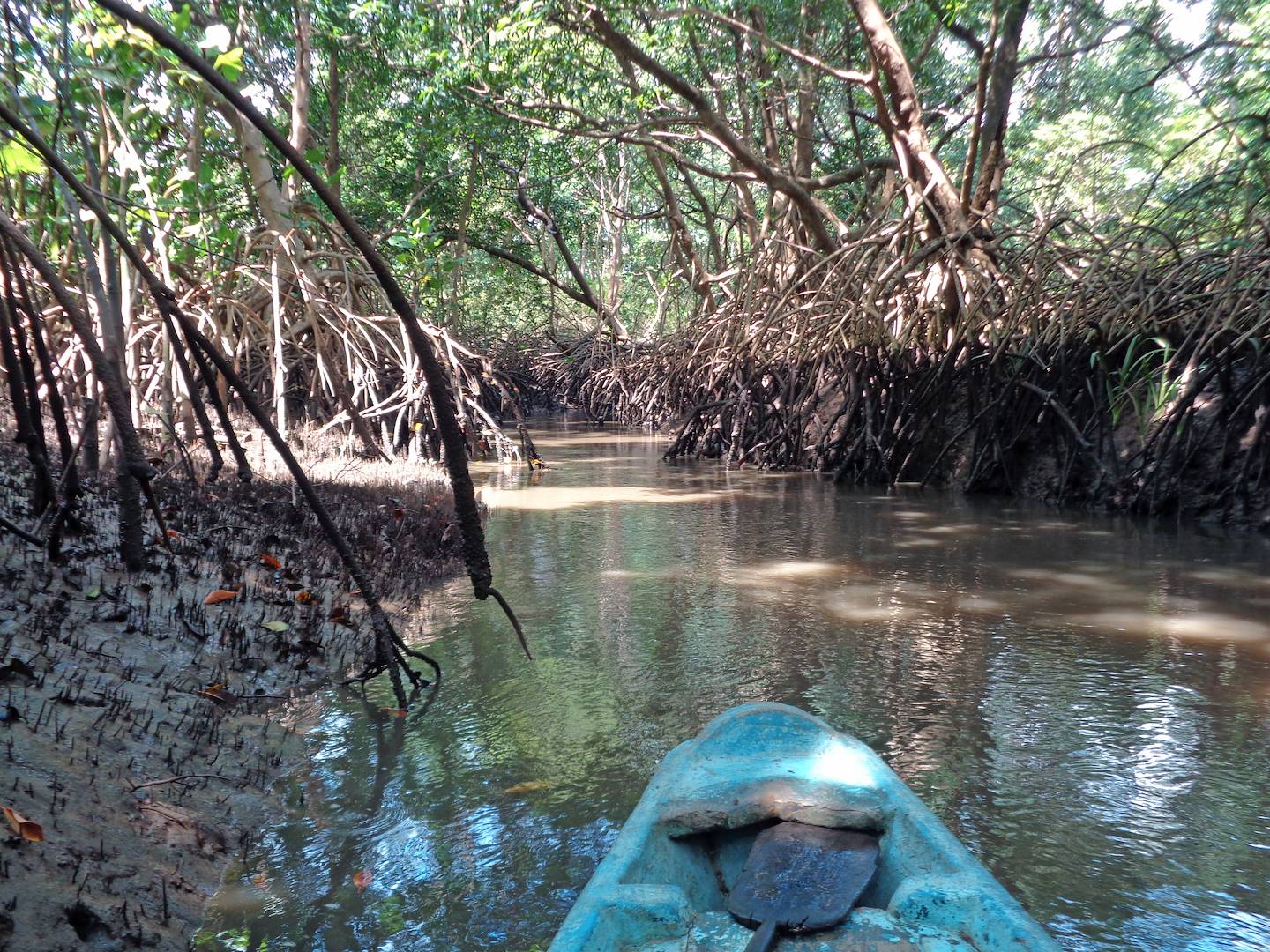 Sur le delta du Parnaiba - Piauí - Brésil