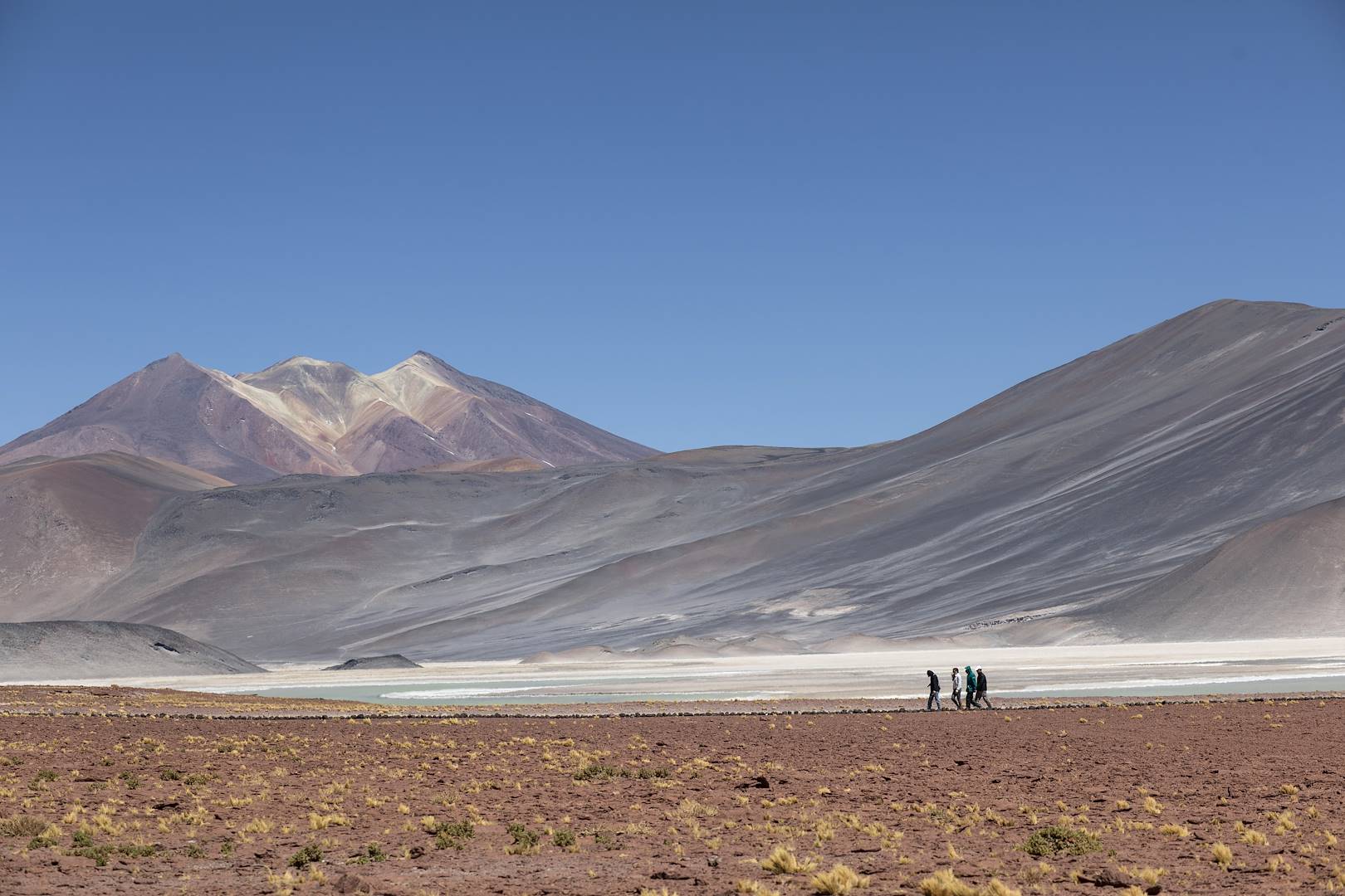 Salar de Talar, le désert de sel - Désert d'Atacama - Antofagasta - Chili