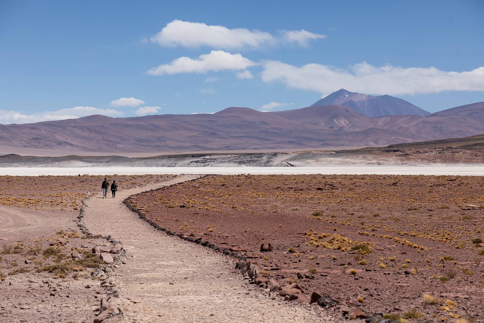 Salar de Talar, le désert de sel - Désert d'Atacama - Antofagasta - Chili