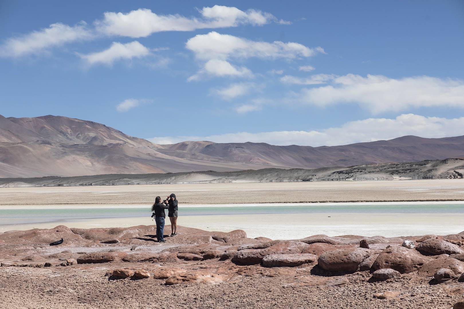 Salar de Talar, le désert de sel - Désert d'Atacama - Antofagasta - Chili