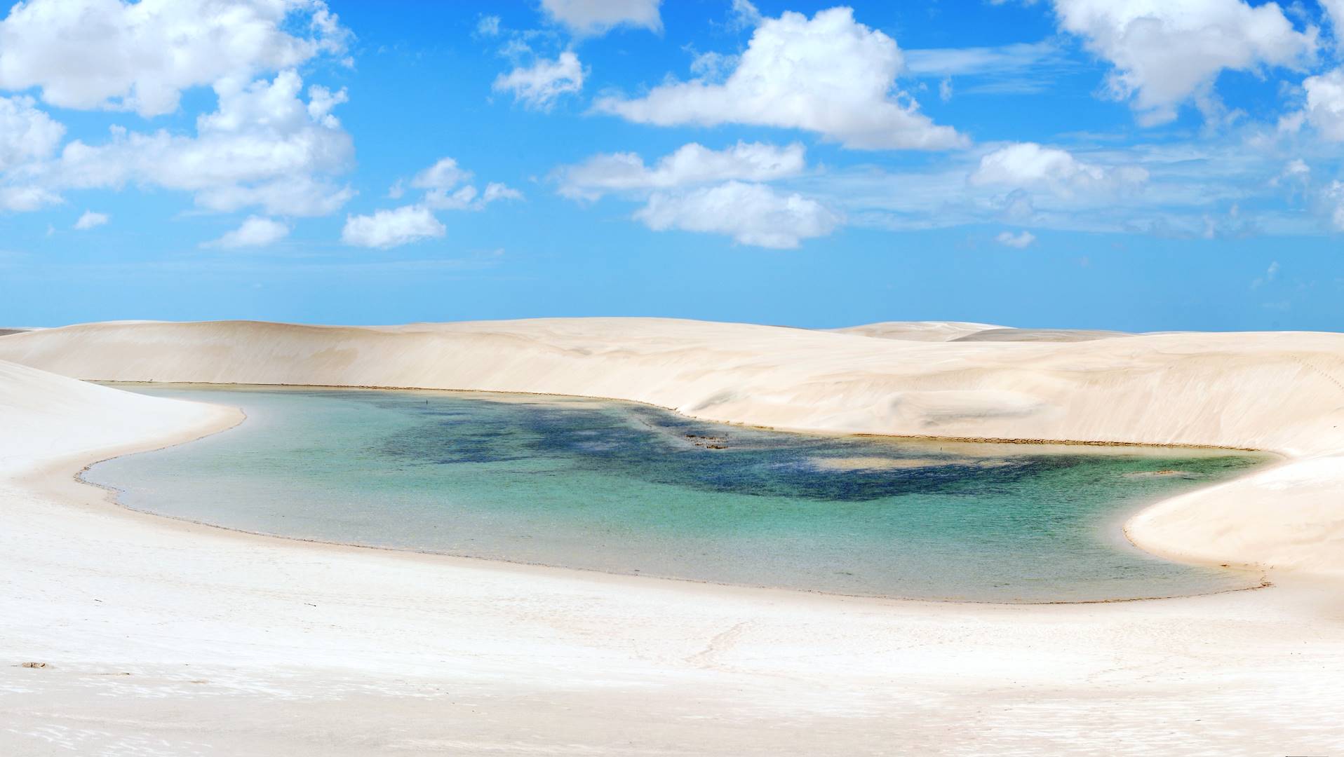 Dunes et lagunes dans le Parc National Lençois Maranhenses - Maranhão - Brésil