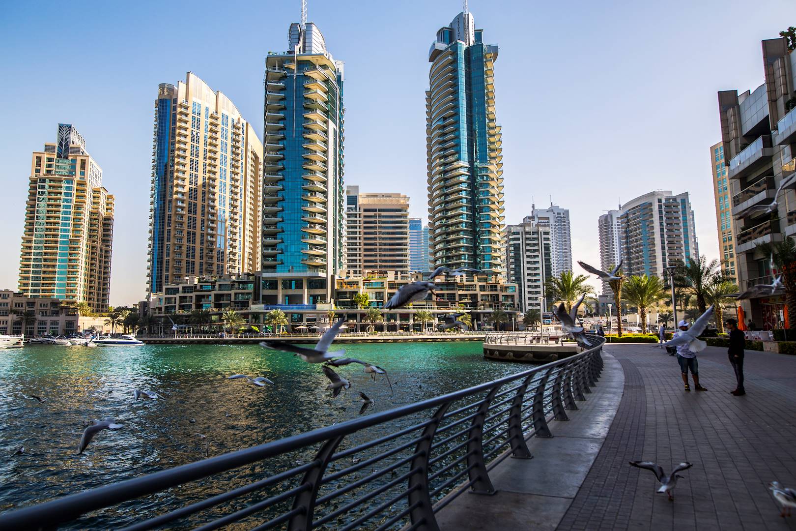 Le quartier de la Marina - Dubaï - Emirats Arabes Unis