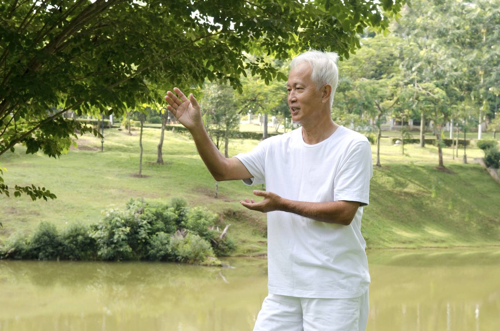Homme pratiquant du tai-chi-chuan - Chine