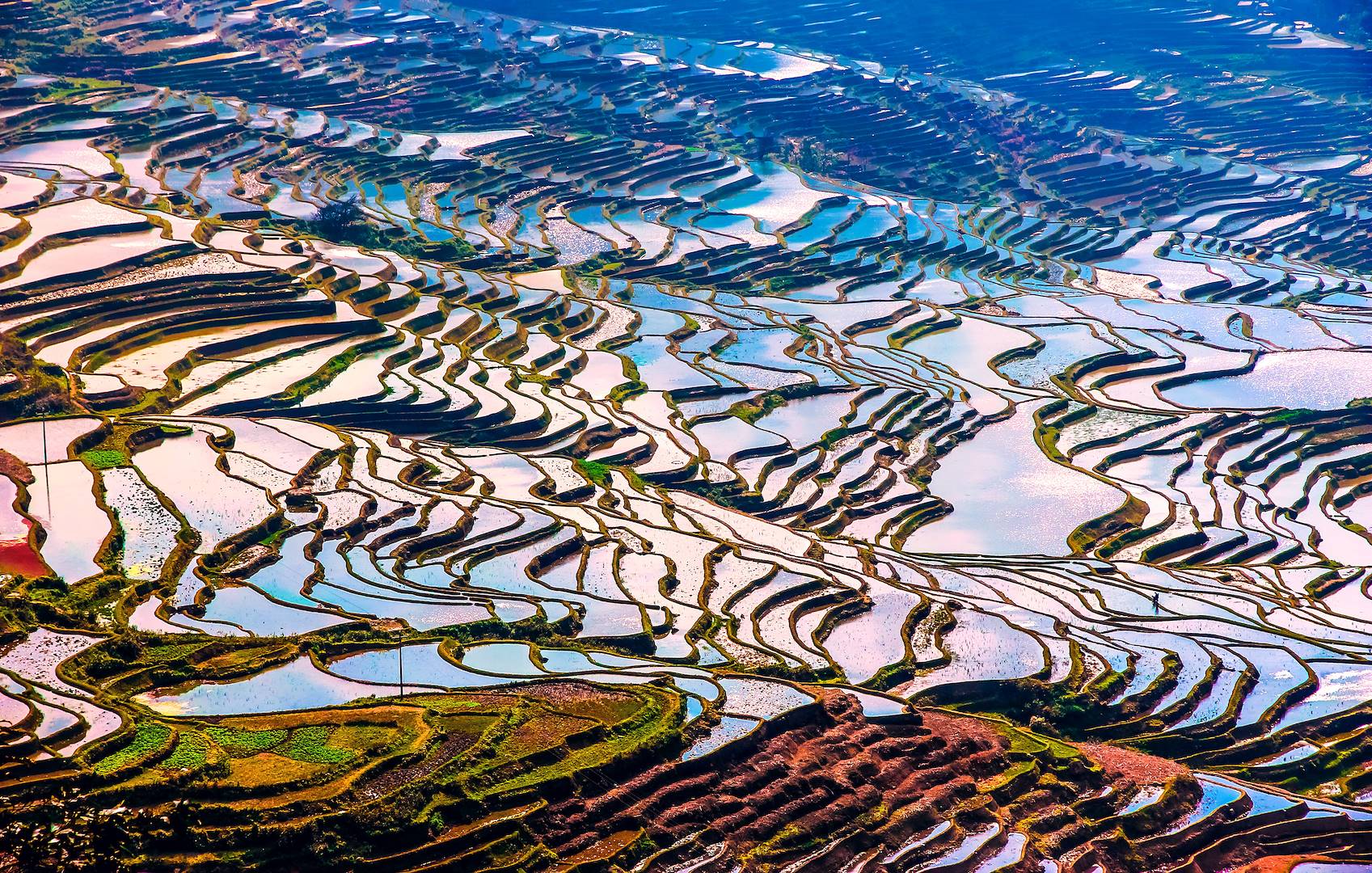 Rizières de Yuanyang - Province du Yunnan - Chine