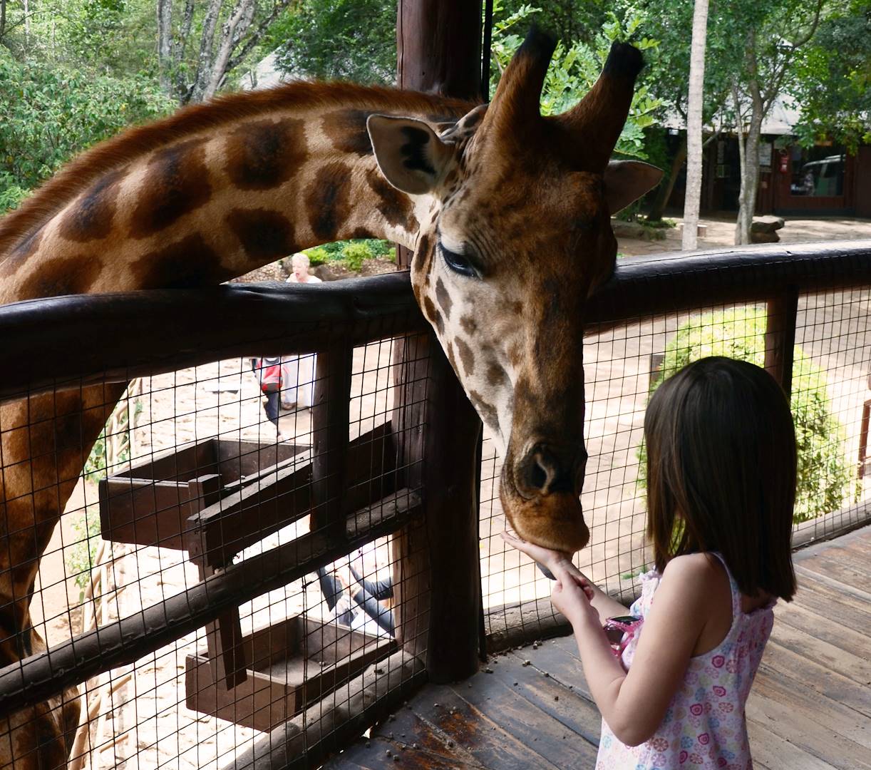 Giraffe Center - Nairobi - Kenya