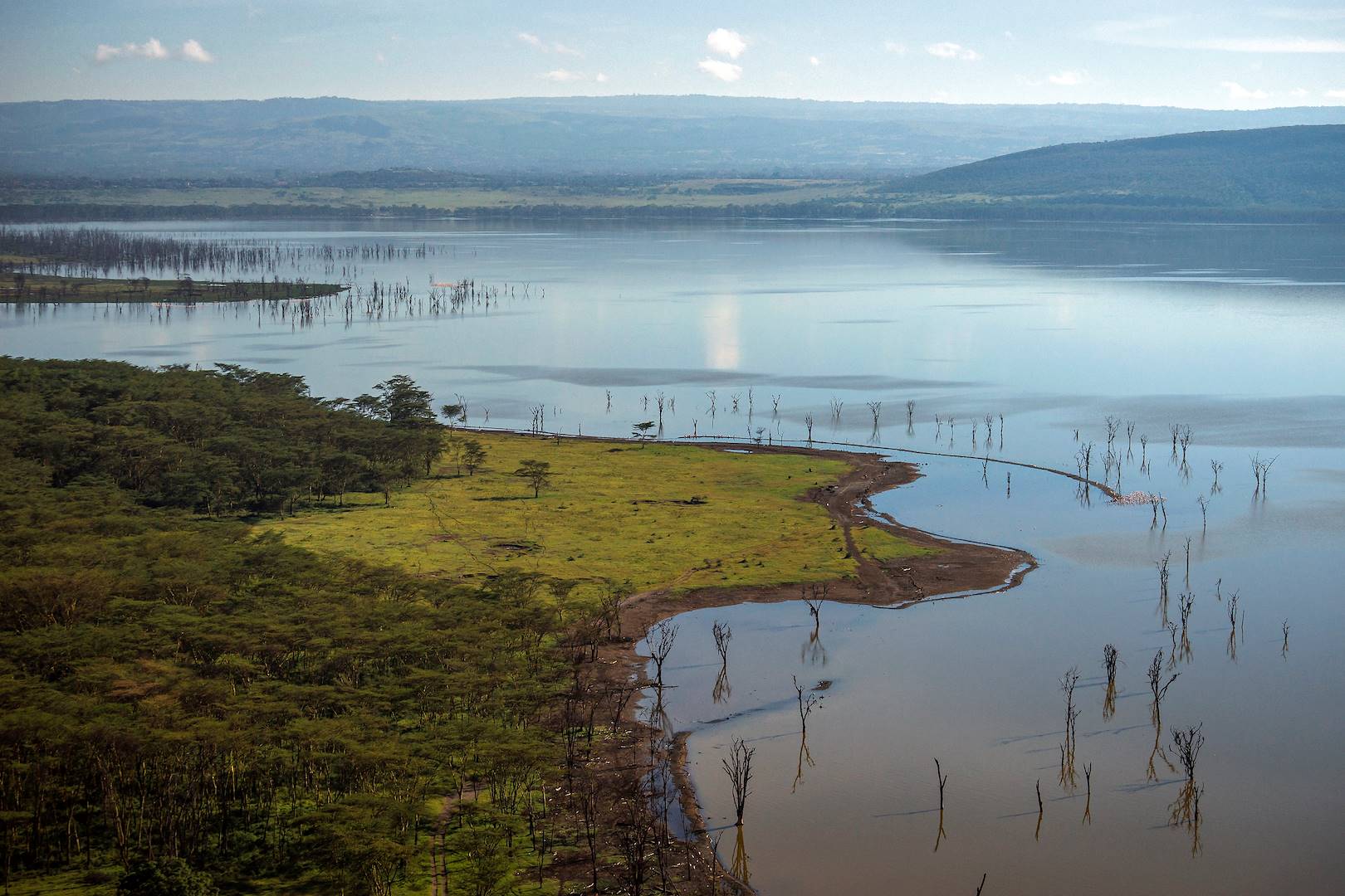 Lac Nakuru - Kenya