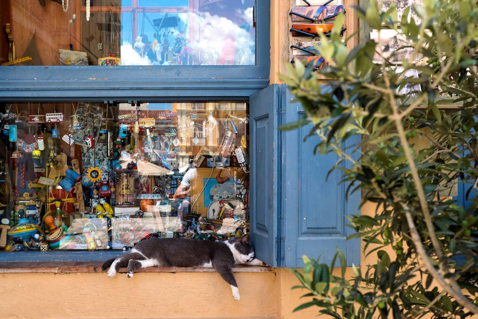 Sieste d'un chat près d'une boutique de jouets - Nauplie - Péloponnèse - Grèce