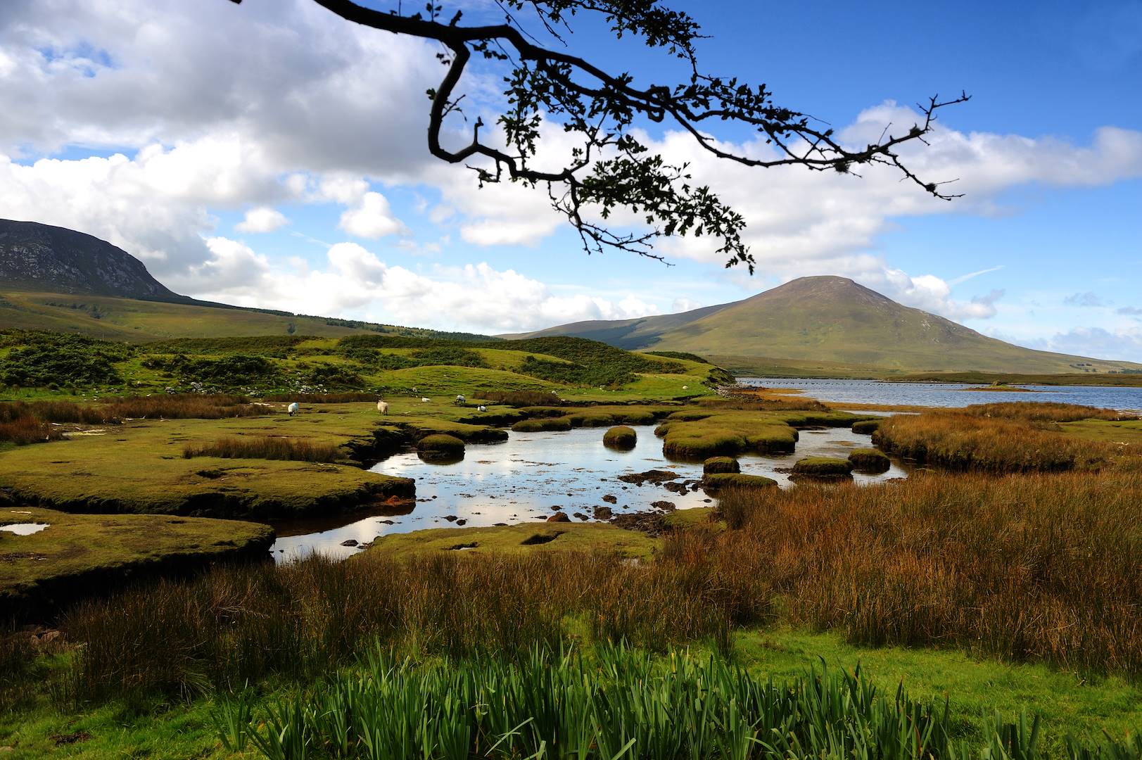 Kerry - Irlande