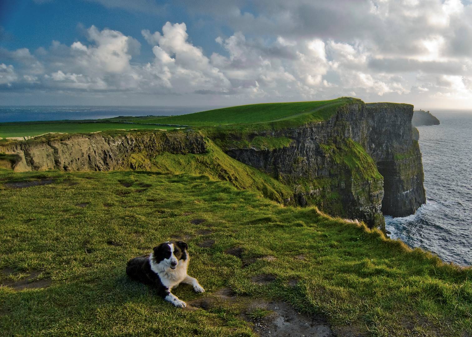 Falaises de Moher - Région de Burren - Comté de Clare