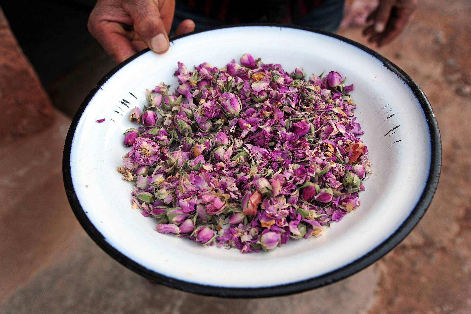 Vallée des Roses - Maroc