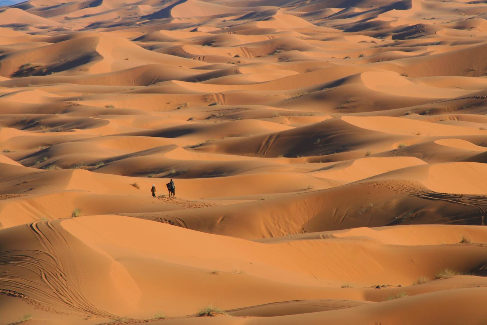 Dunes de l'erg Chebbi dans le désert de Merzouga - Maroc
