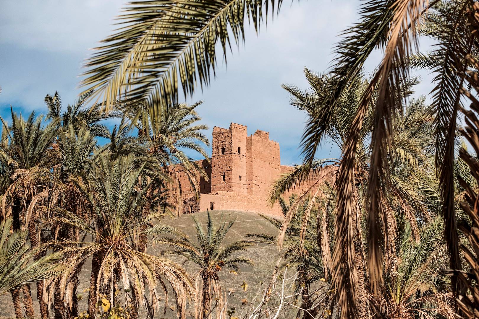 Ksar Tamnougalt, village fortifié - Vallée du Drâa - Maroc