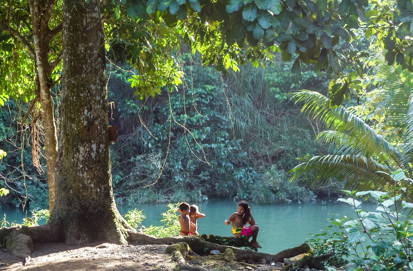 Rencontre avec les indiens Emberas dans le Parc National de Chagres - Panama