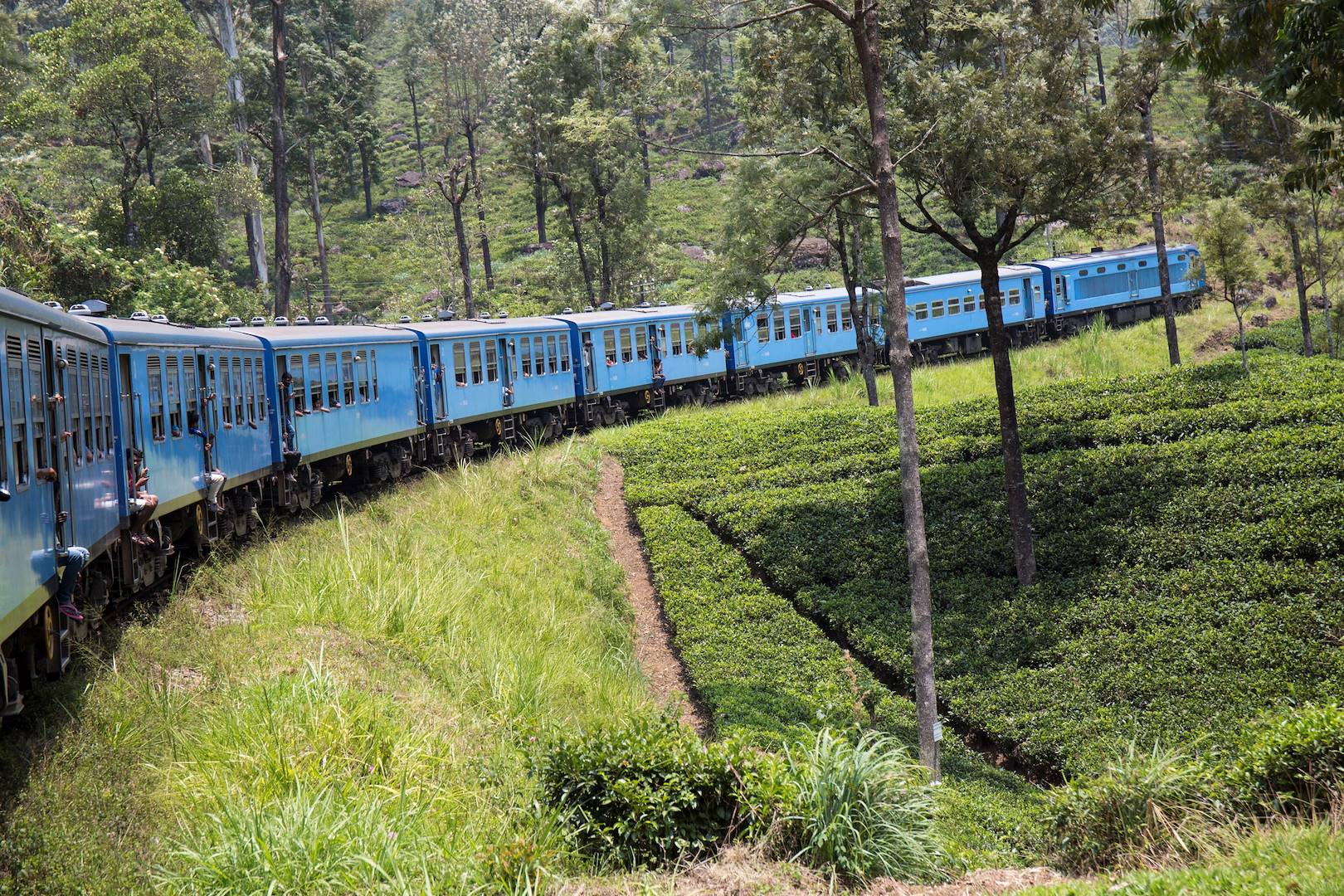 Voyage en train : liaison d'Ella à Kandy à travers les plantations de thé - Sri Lanka