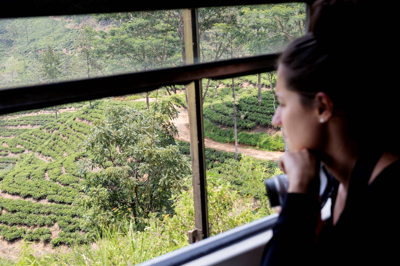 Voyage en train : liaison d'Ella à Kandy à travers les plantations de thé - Sri Lanka