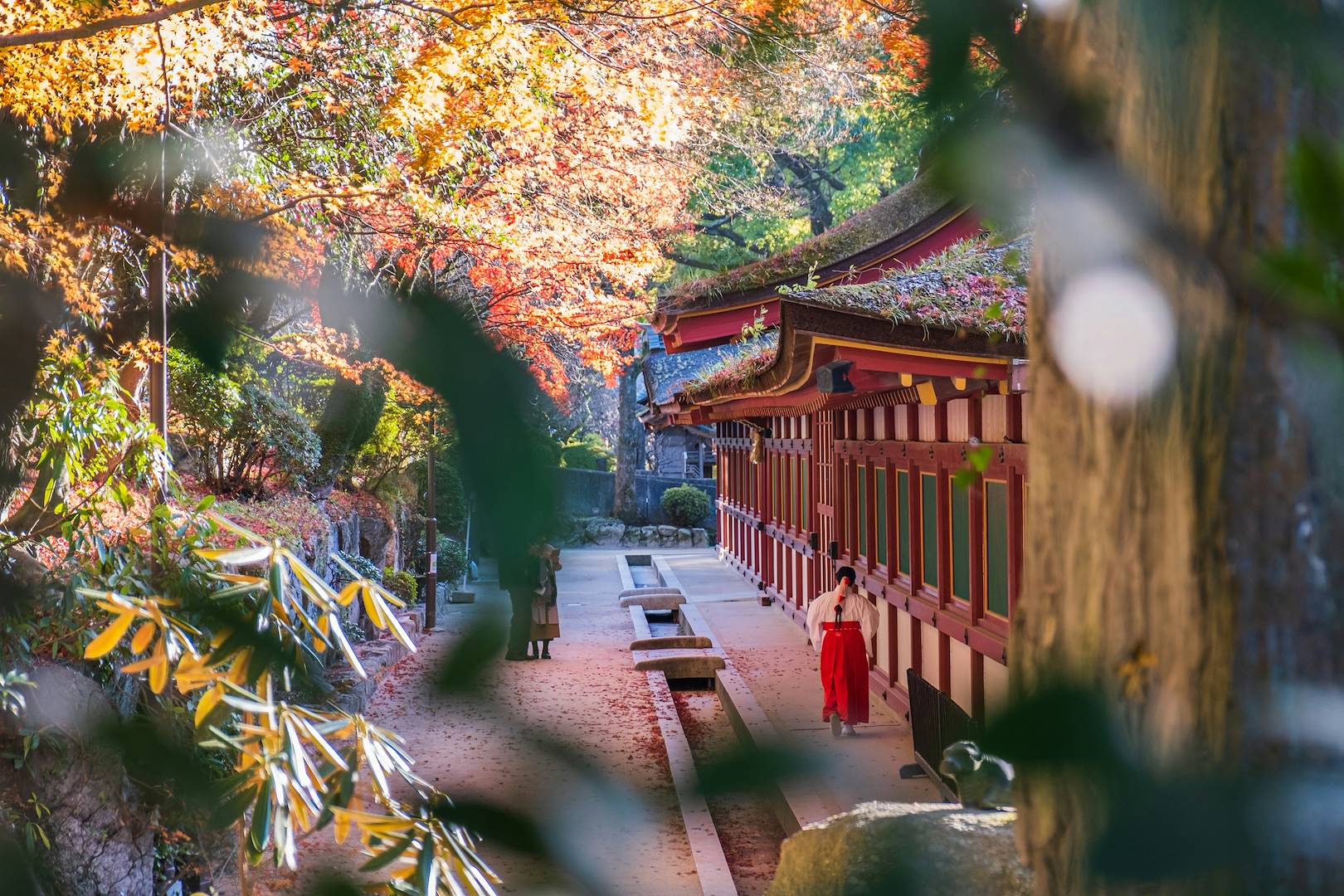 Femme au sanctuaire shinto Dazaifu Tenman-gu - Dazaifu - Préfecture de Fukuoka - Japon