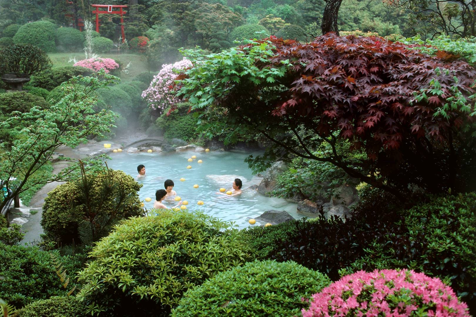 Pamplemousse baignoire - Beppu - Île de Kyushu - Japon