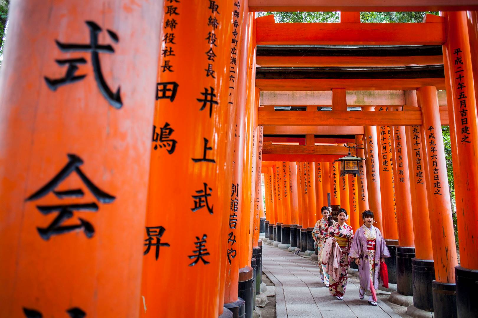 Torii du sanctuaire Fushimi Inari-Taisha - Kyoto - Japon