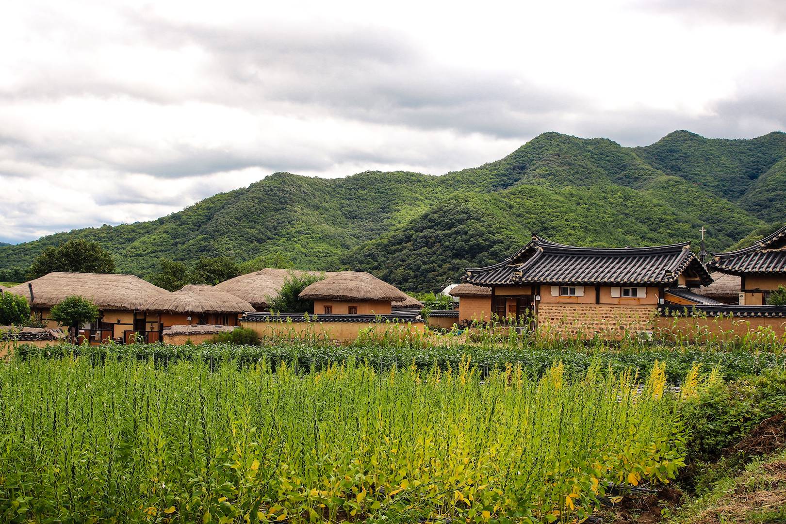 Village de Hahoe - Andong - Corée du Sud