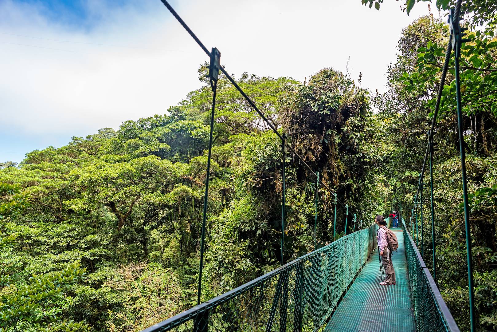  Passerelles de la canopée - Monteverde - Costa Rica