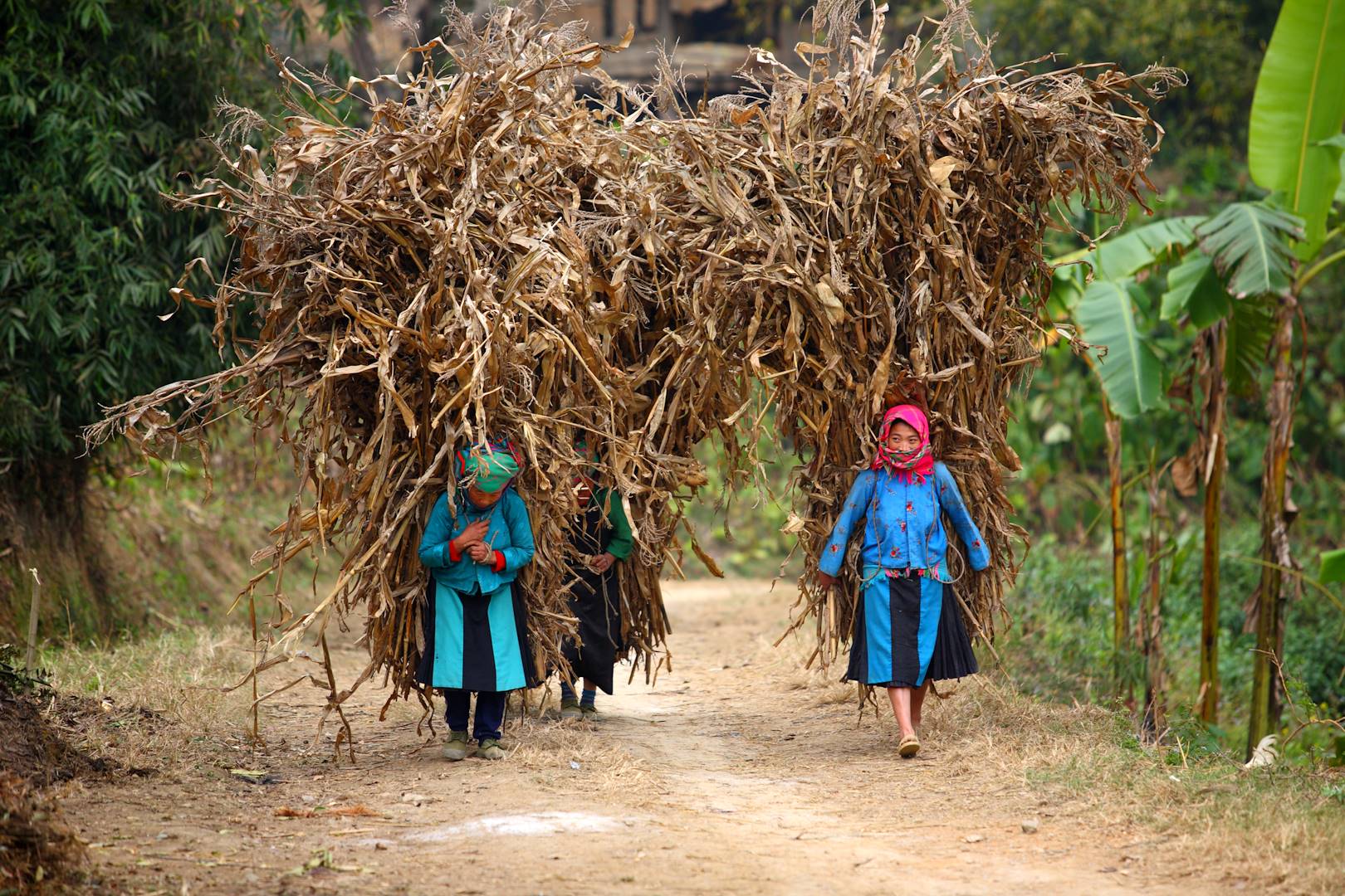 Région de Ha Giang - Vietnam