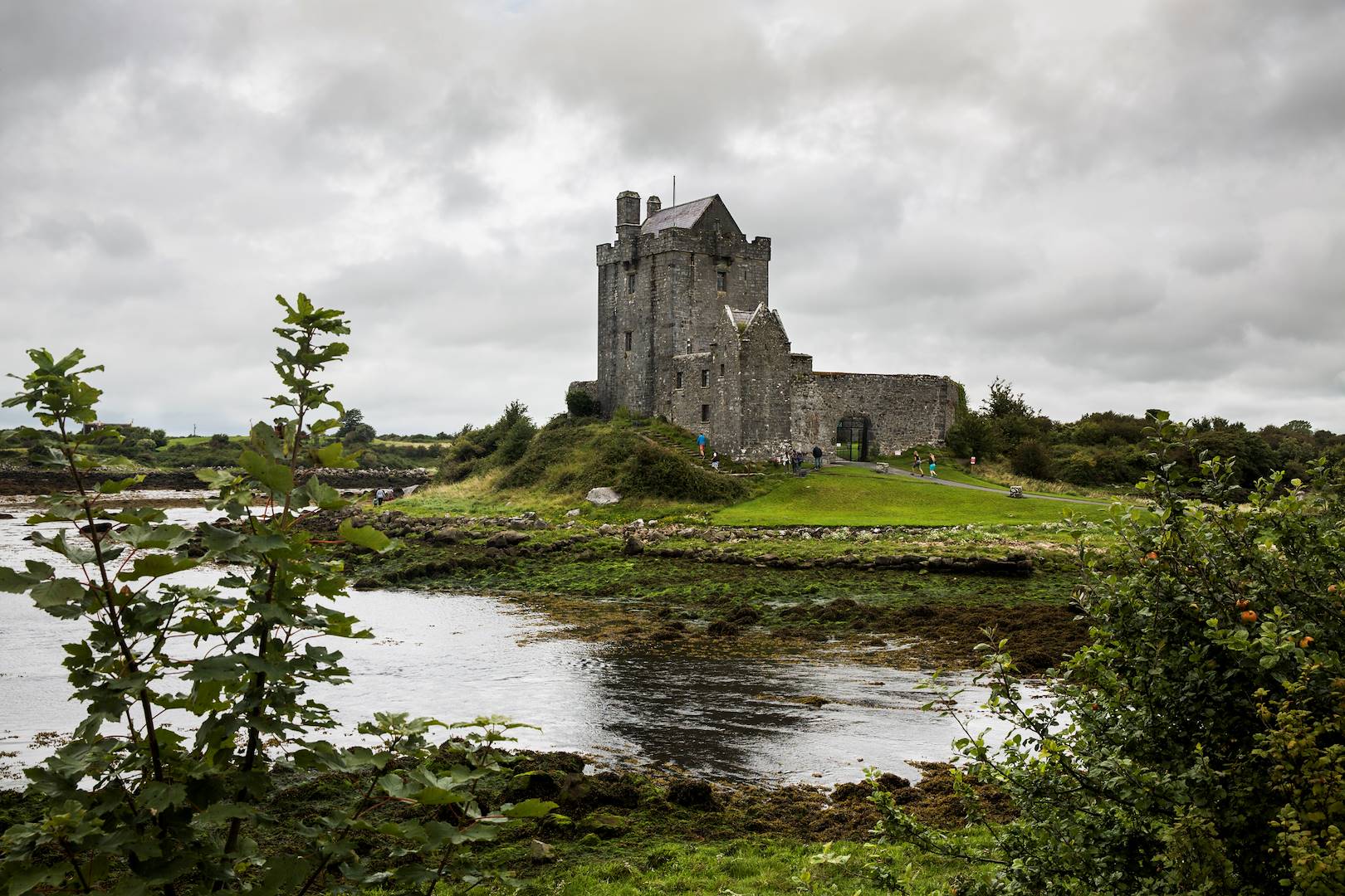 Le Château de Dunguaire - Galway - Comté de Galway - Irlande