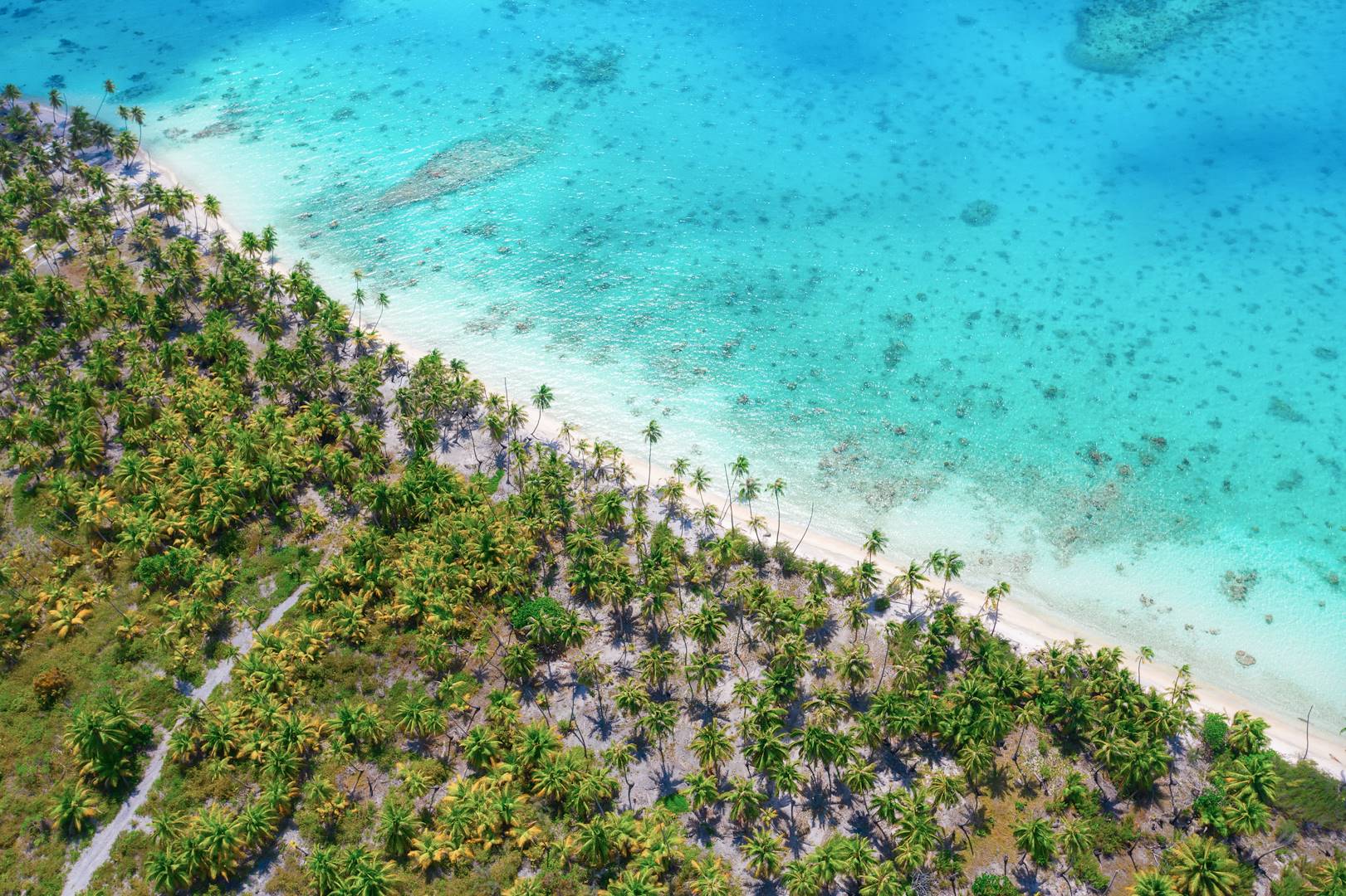 Rangiroa - Îles Tuamotu - Polynésie Française