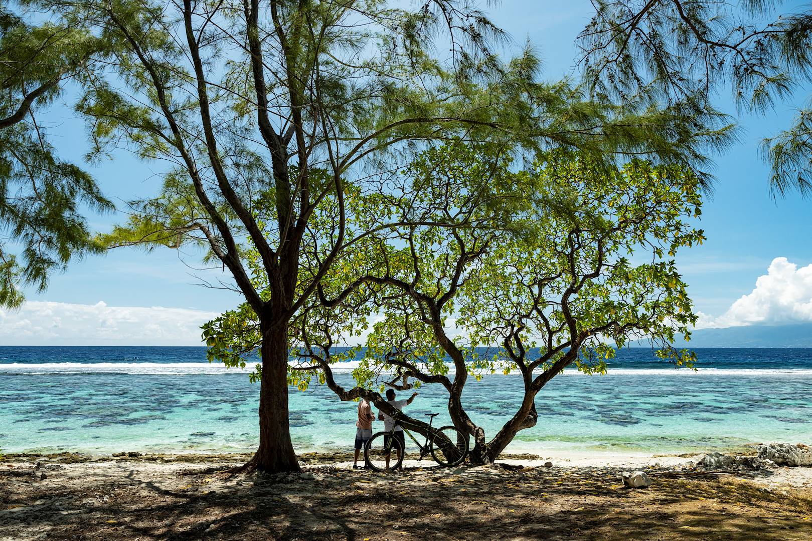 Scène de vie sur une plage de Moorea - Polynésie française