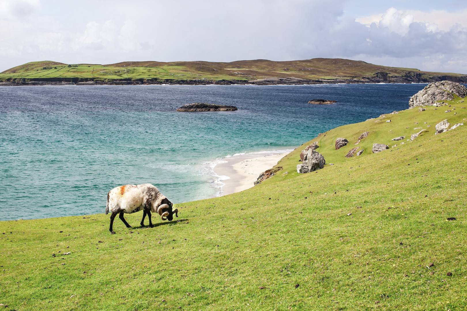 Ile d'Inishbofin - Comté de Galway - Irlande