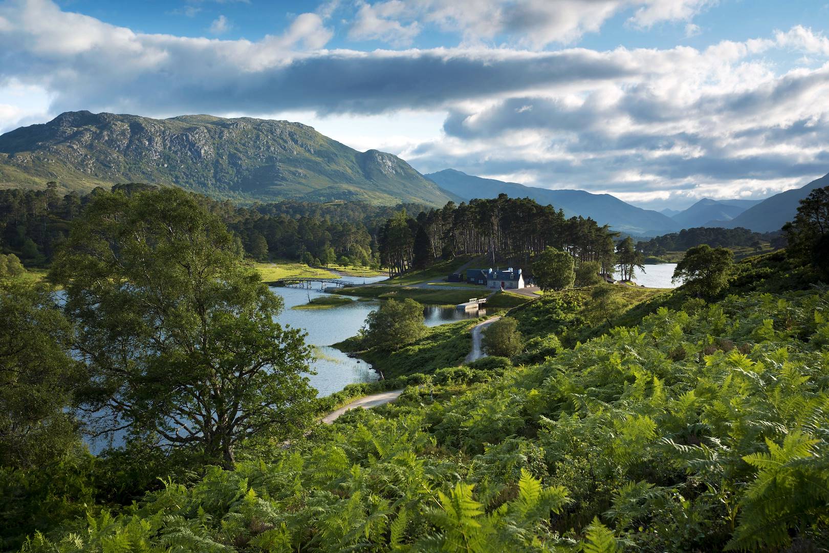 Glen Affric - Highlands - Ecosse