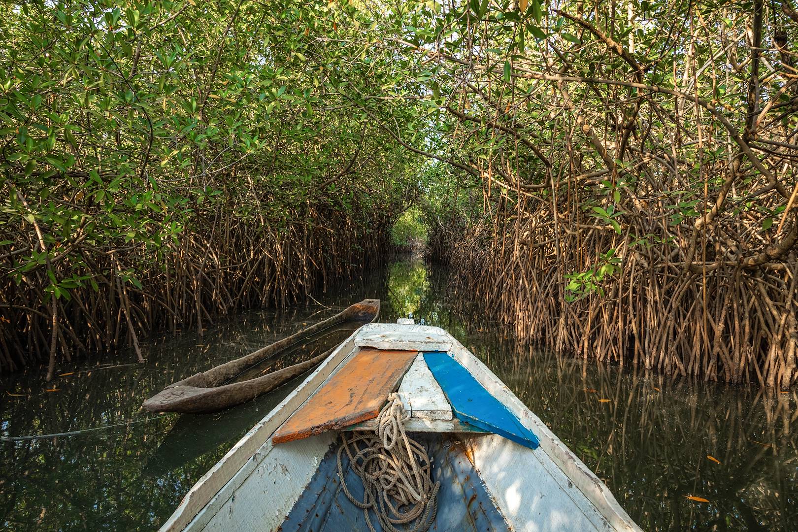 Balade en pirogue dans la mangrove - Brésil