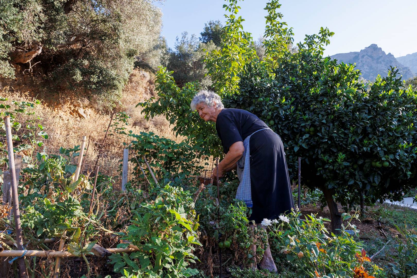Scène de vie dans un potager des gorges de Platania - Psiloritis - Crète - Grèce