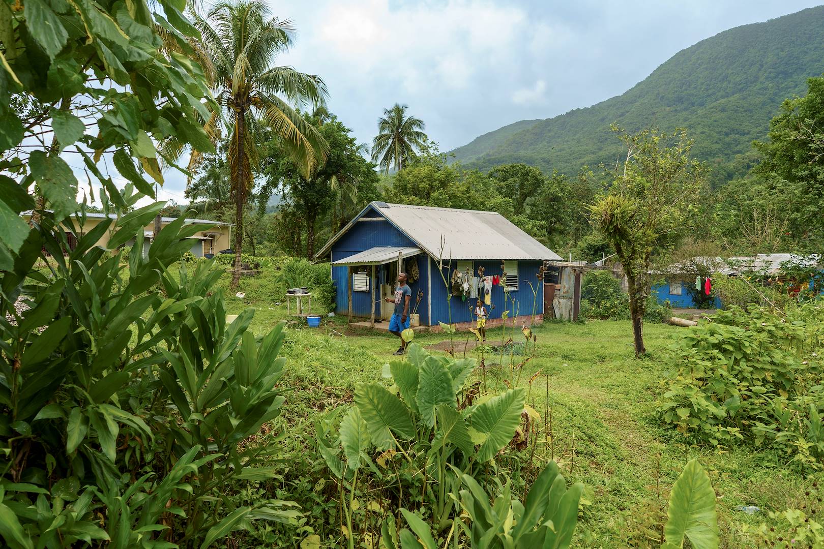 Immersion chez les Marrons - Moore Town - Blue Mountains - Portland - Jamaïque