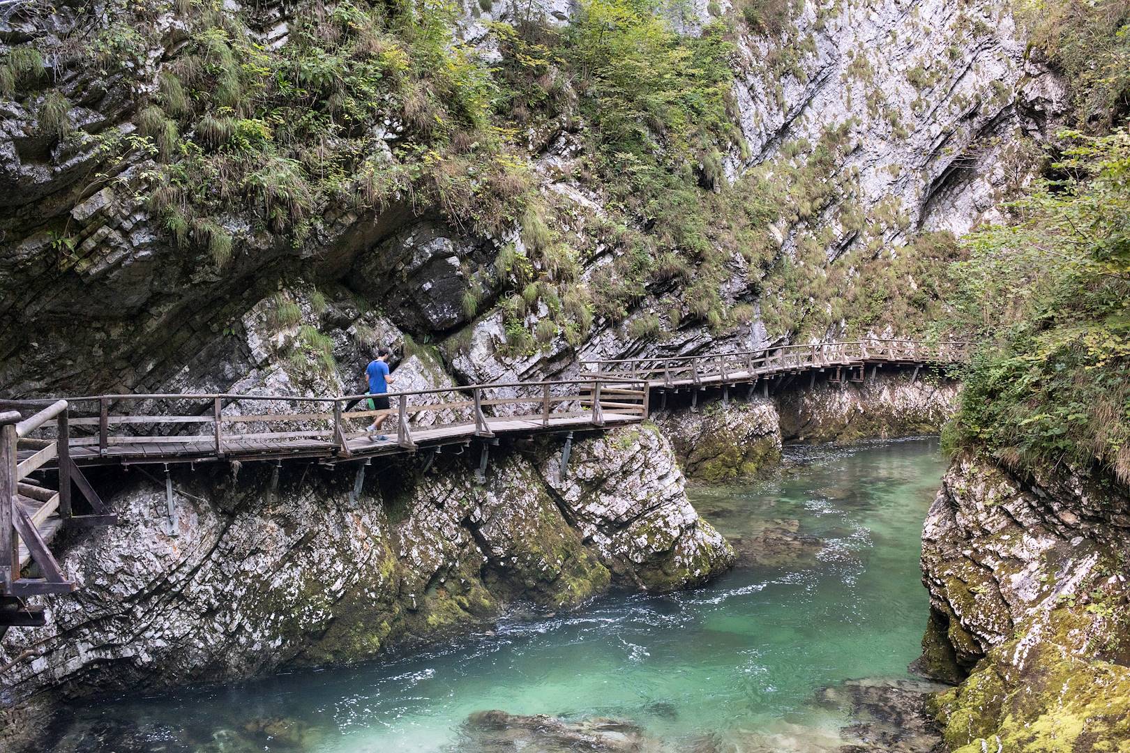 Gorges de Vintgar - Parc national du Triglav - Haute-Carniole - Slovénie