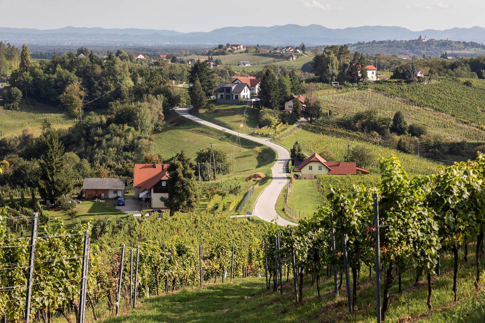 Région des vignobles de Goriska Brda - Slovénie