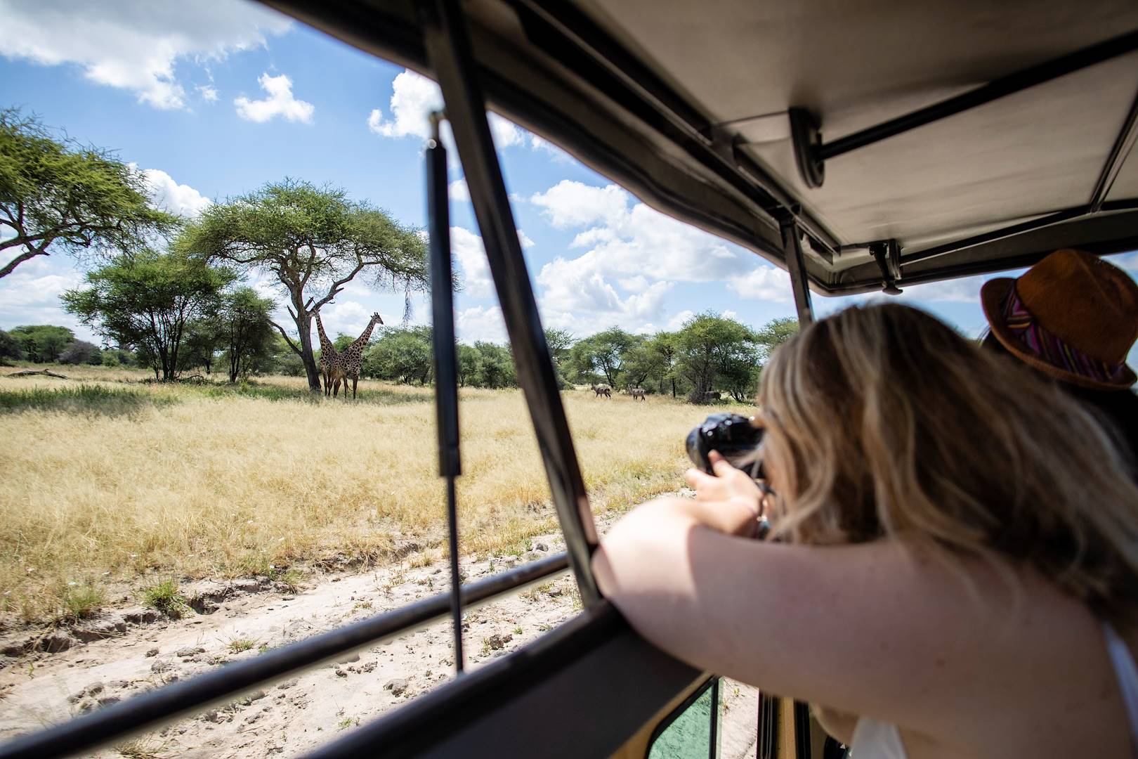 Rencontre avec les girafes dans le parc national de Bwabwata - Namibie