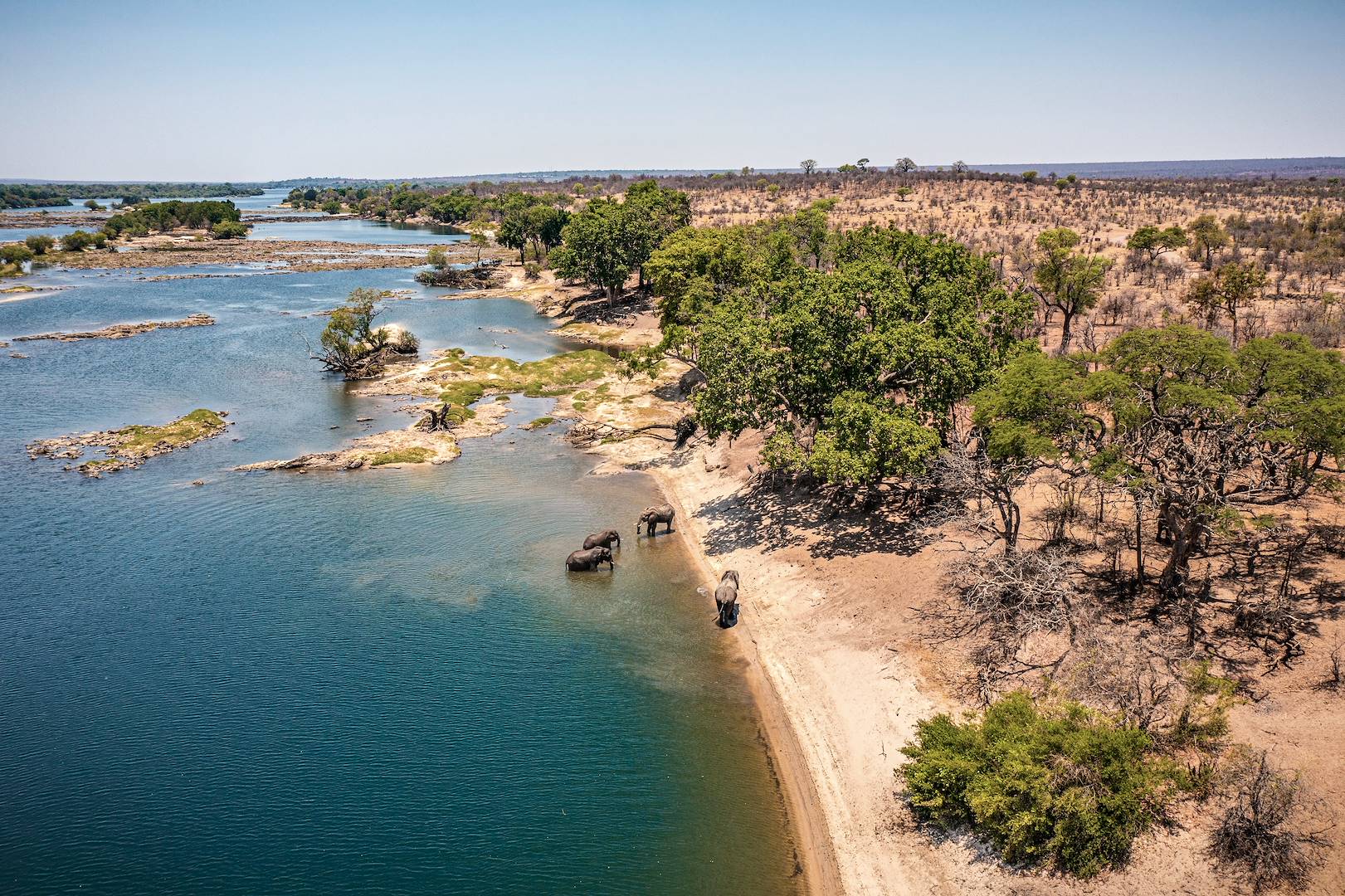 Eléphants se baignant dans le fleuve Okavango - Namibie