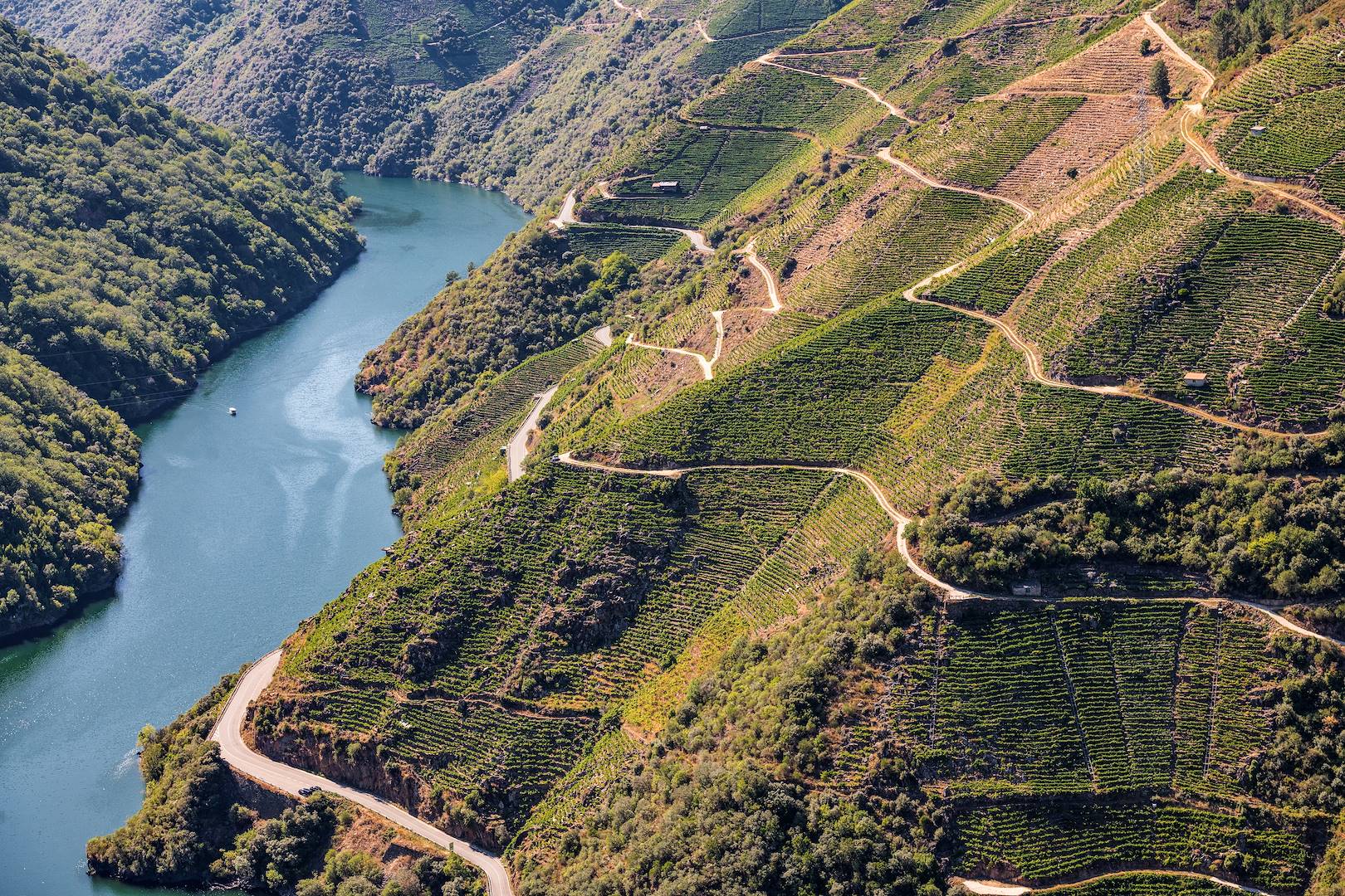 Gorges de Sil - Ourense - Galice - Espagne