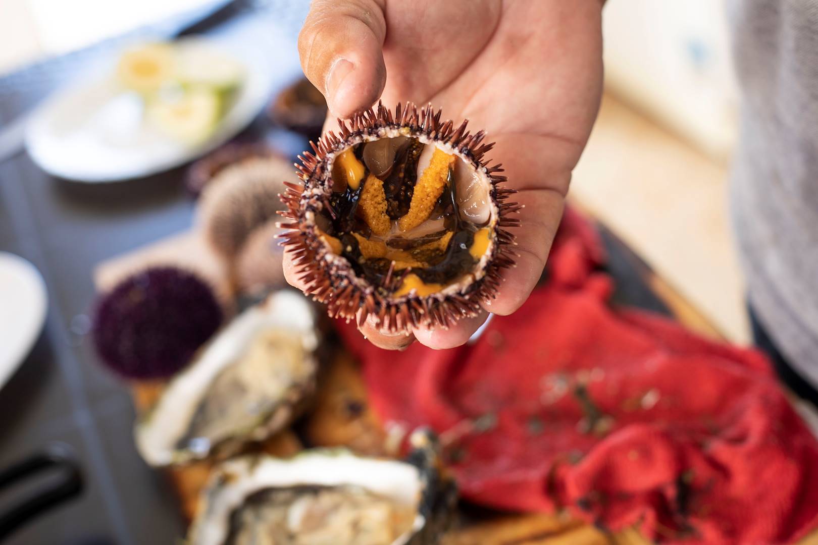 Dégustation d'oursins et autres fruits de mer sur un marché - Galice - Espagne