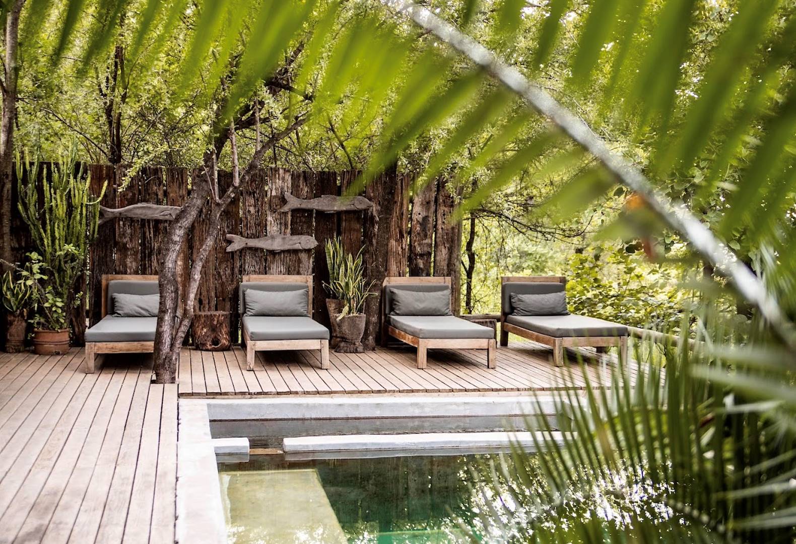 Votre lodge dans le parc de Chobe - Botswana