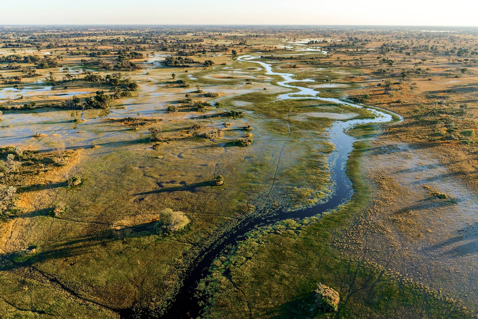 Delta de l'Okavango - Botswana