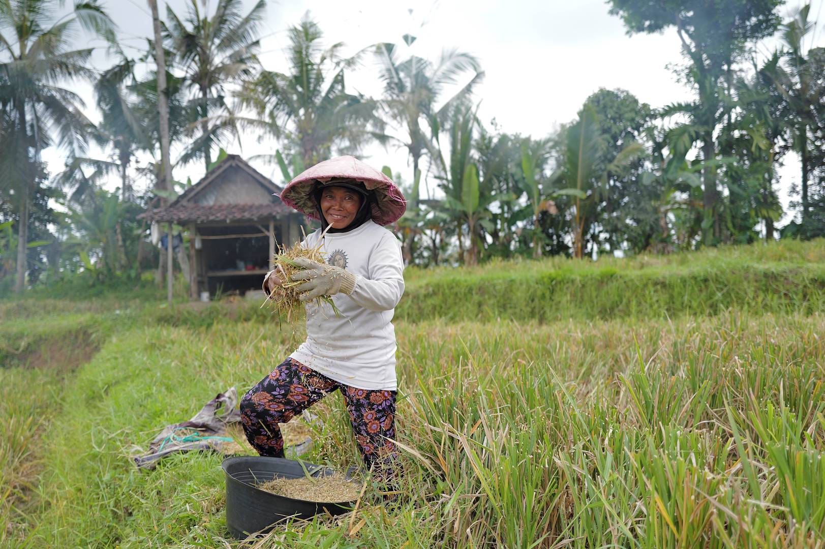 Rencontre avec les locaux dans les rizières de Magelang - Île de Java - Indonésie