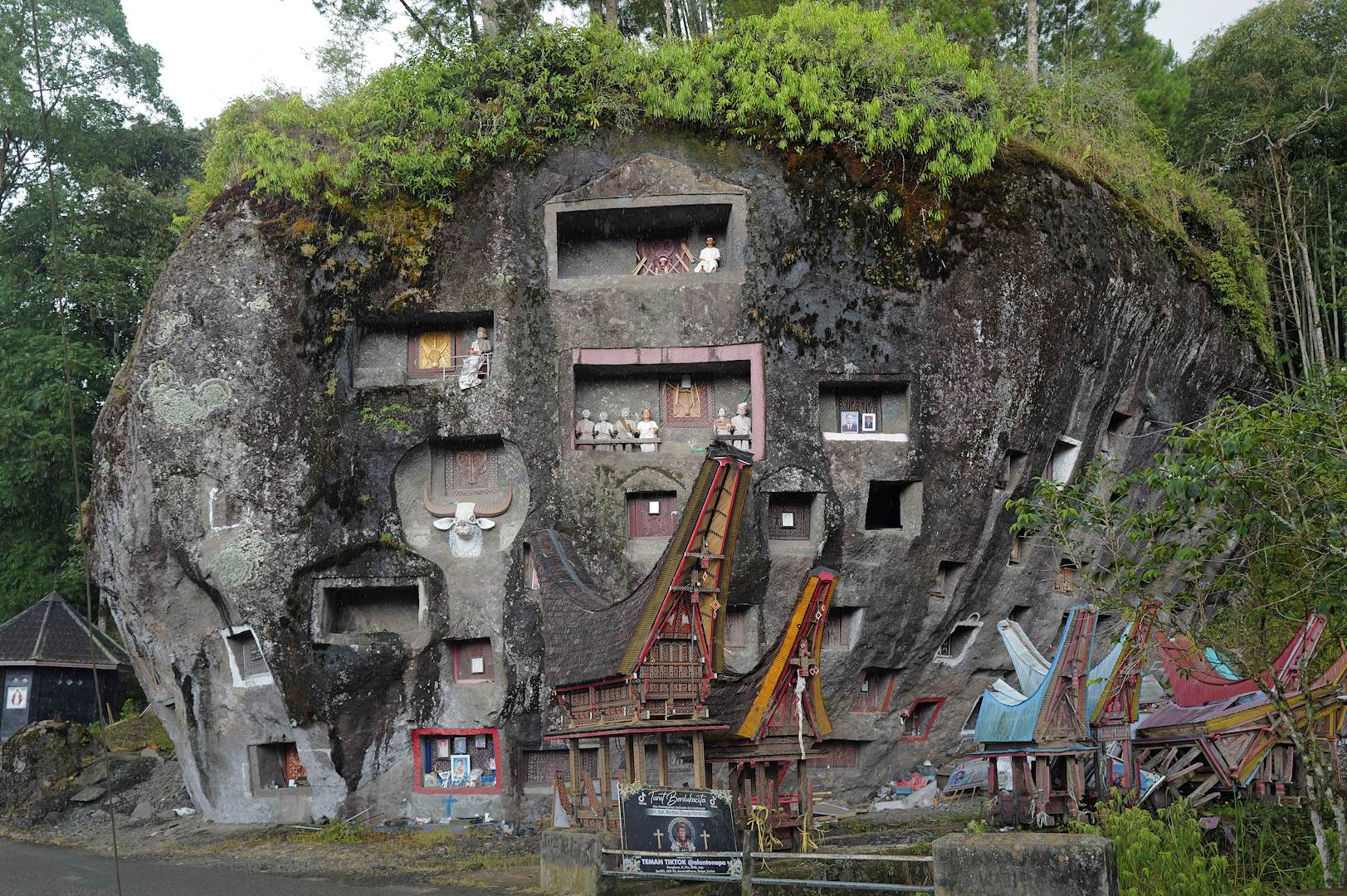 Pays des Toraja: Lemo, là où les morts vous regardent - Rantepao - Indonésie